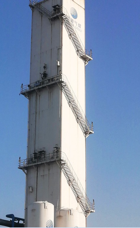 火爆社区向日葵